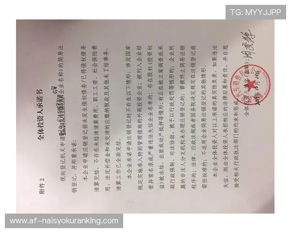 凯发网站登录入口安全登录指南，保障账号信息安全的操作流程